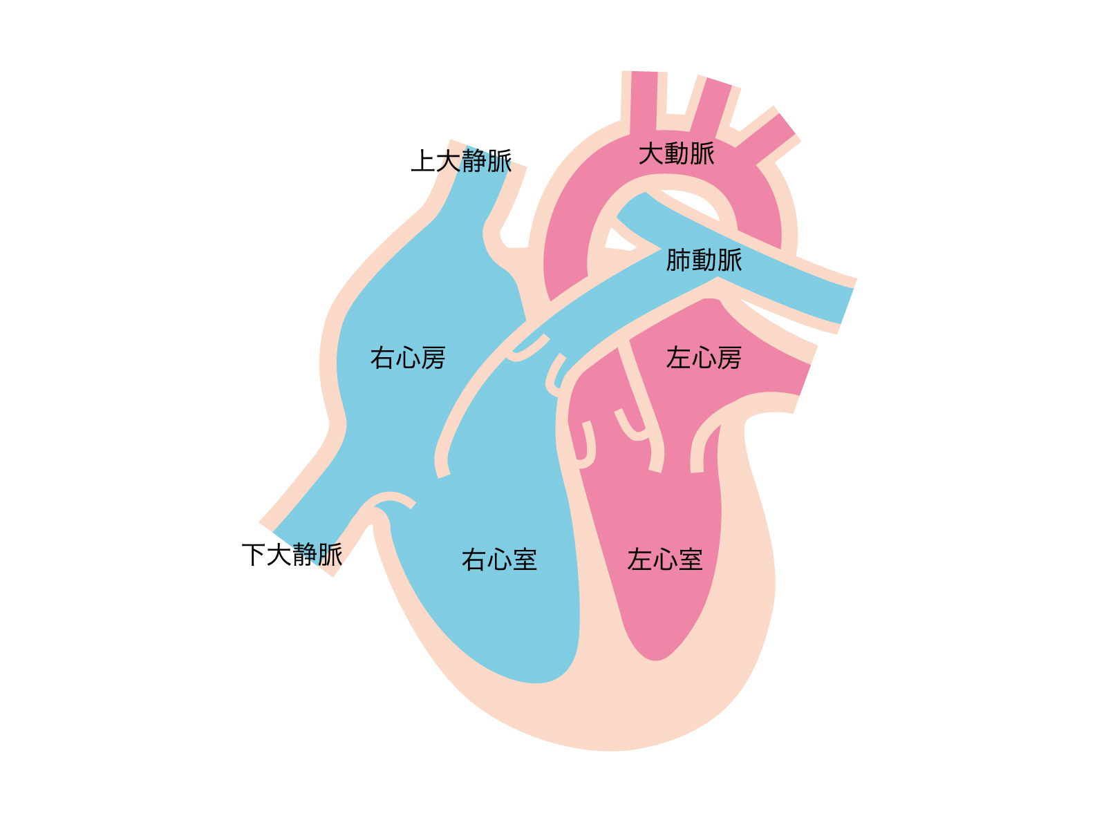ワンポイントアドバイス-3 – 社会医療法人 関愛会